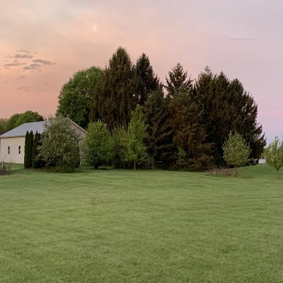 Backyard Sunset