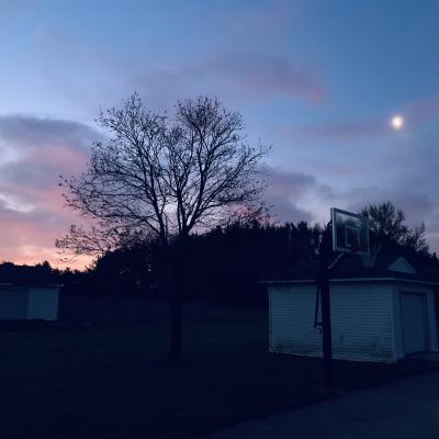 Filtered Morning: 2