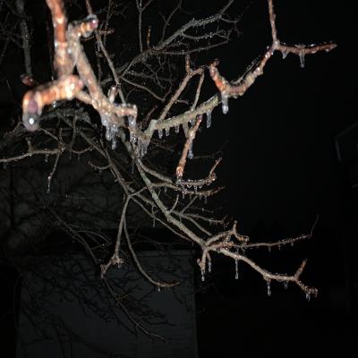 Frozen Night