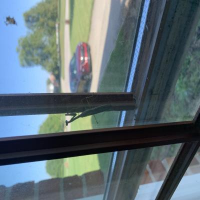 Window Prayers